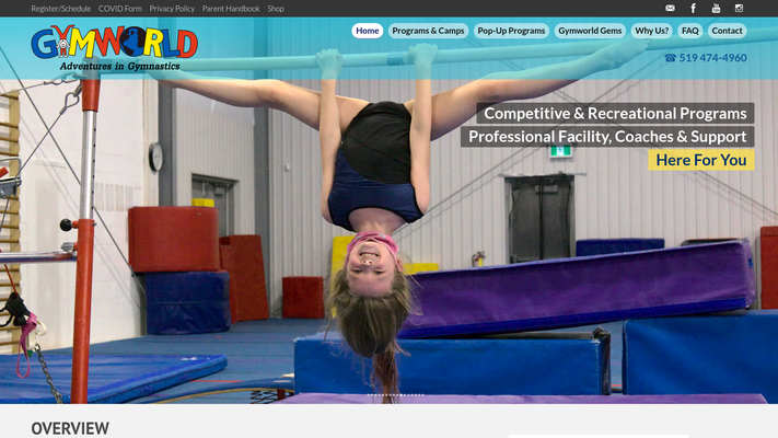 Web design by Mike Cygalski of digibee.net. London's Hyde Park based Gymworld Inc.'s homepage design screenshot.