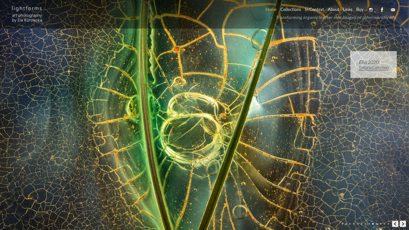 Web design by Mike Cygalski of digibee.net Web Design in London Ontario. Light Forms art photography website portfolio of Ela Kurowska; a homepage design screenshot - alternative photo slide, Ela Kurowska's Elio from 2020.
